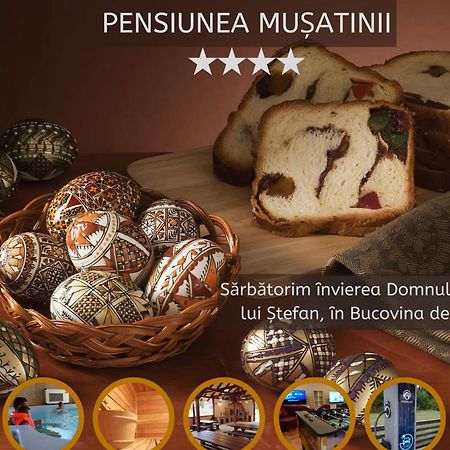 Pensiunea Musatinii بوتنا المظهر الخارجي الصورة